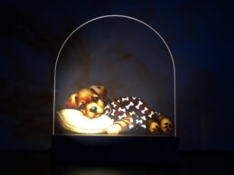 nachtlampje met hond met licht