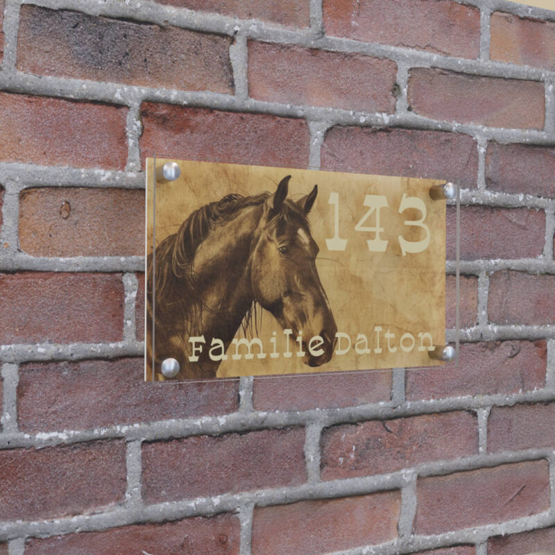 naambord acrylglas paard