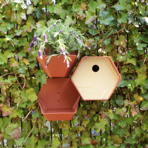 capi hive waterbakje bruin combi