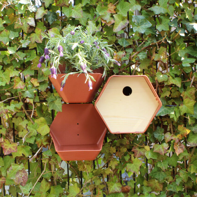capi hive waterbakje bruin combi