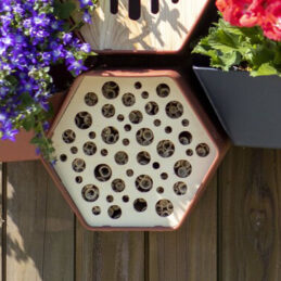 hive insectenhotel