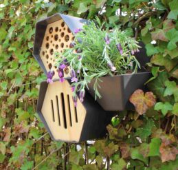 vlinder en insectenhotel en plantenbakje