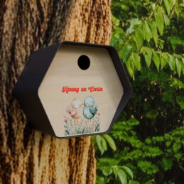 vogelhuisje antreciet tegen boom