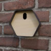 vogelhuisje hive blauw ovaal muur zonder opdruk