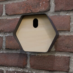 vogelhuisje hive blauw ovaal muur zonder opdruk