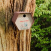 vogelhuisje hive bruin tegen boom