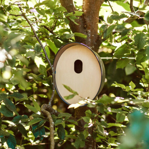 vogelhuisje in boom 2