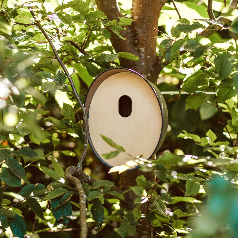 vogelhuisje in boom 2