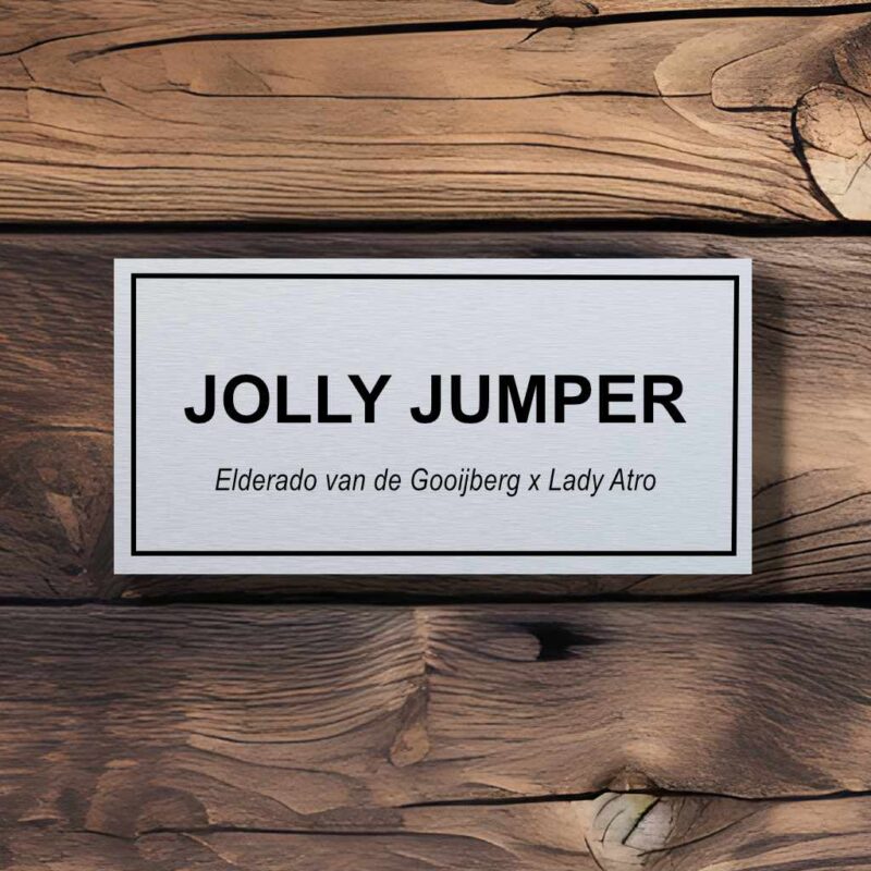 naambord alu 20x10 tekst met kader achtergrond hout