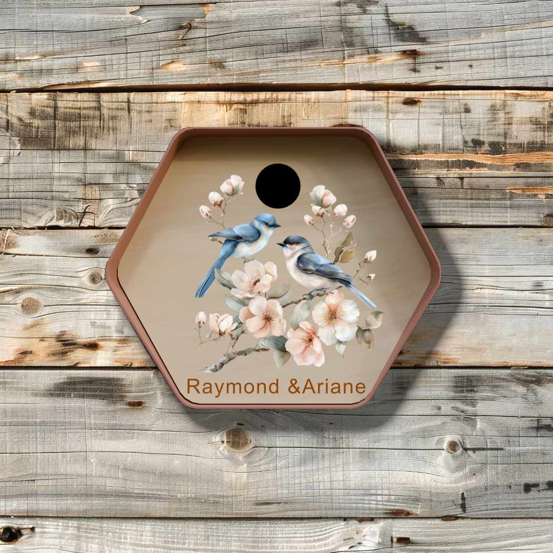 vogelhuisje hive rond birds 1