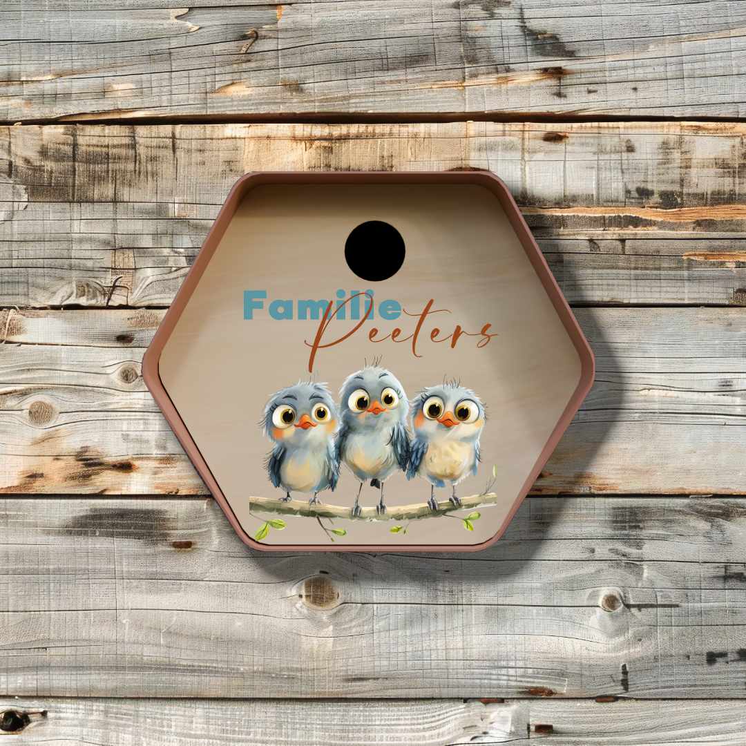 vogelhuisje hive rond birds 3