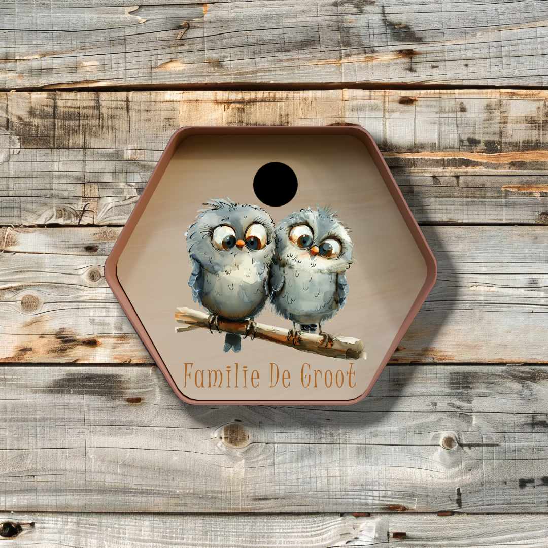 vogelhuisje hive rond birds 6